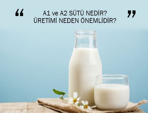 A1 ve A2 SÜTÜ NEDİR? ÜRETİMİ NEDEN ÖNEMLİDİR?