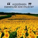 AYÇİÇEĞİNDEN EGEMENLİĞE ADIM ATALIM MI?
