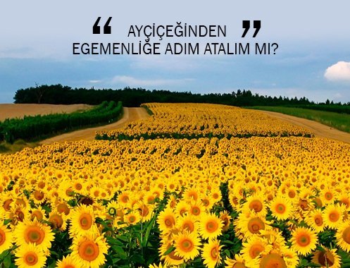 AYÇİÇEĞİNDEN EGEMENLİĞE ADIM ATALIM MI?