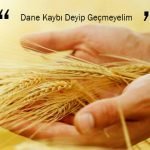 Dane Kaybı Deyip Geçmeyelim