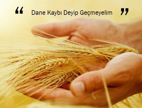 Dane Kaybı Deyip Geçmeyelim