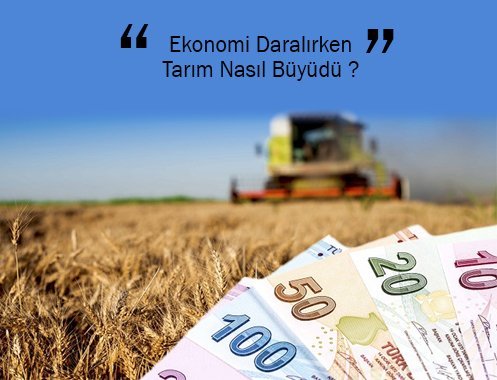 Ekonomi Daralırken Tarım Nasıl Büyüdü ?