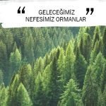 GELECEĞİMİZ NEFESİMİZ ORMANLAR