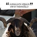 KURAKLIKTA VEBALİN VAR EY İNSANOĞLU!