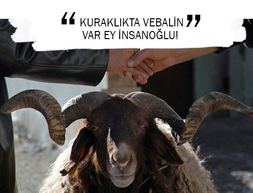KURAKLIKTA VEBALİN VAR EY İNSANOĞLU!