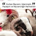 Kurban Bayramı; Adanmışlık, Paylaşım ve Hayvancılığın Harmanıdır