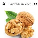 MUCİZENİN ADI: CEVİZ