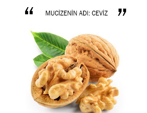 MUCİZENİN ADI: CEVİZ
