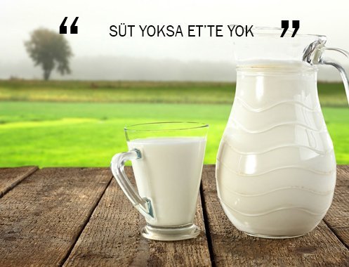 SÜT YOKSA ET’TE YOK