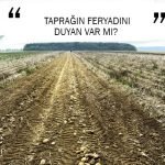 TAPRAĞIN FERYADINI DUYAN VAR MI?