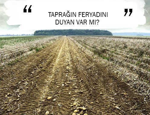 TAPRAĞIN FERYADINI DUYAN VAR MI?