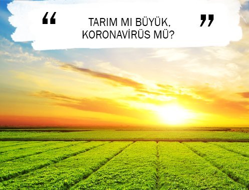 TARIM MI BÜYÜK, KORONAVİRÜS MÜ?