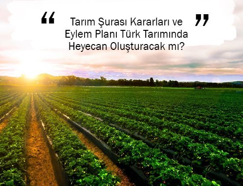 Tarım Şurası Kararları ve Eylem Planı Türk Tarımında Heyecan Oluşturacak mı?