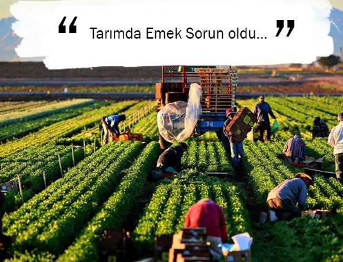 Tarımda Emek Sorun oldu…