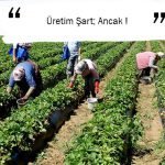 Üretim Şart; Ancak !