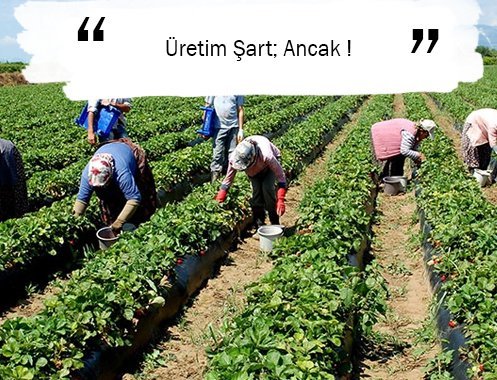 Üretim Şart; Ancak !