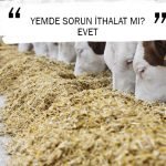 YEMDE SORUN İTHALAT MI? EVET