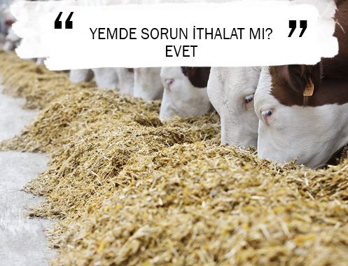 YEMDE SORUN İTHALAT MI? EVET