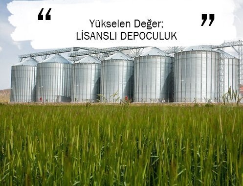 Yükselen Değer; LİSANSLI DEPOCULUK