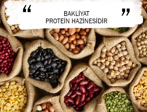 BAKLİYAT PROTEİN HAZİNESİDİR