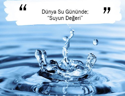 Dünya Su Gününde; “Suyun Değeri”