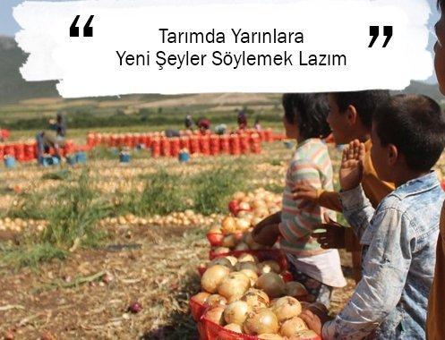 Tarımda Yarınlara Yeni Şeyler Söylemek Lazım