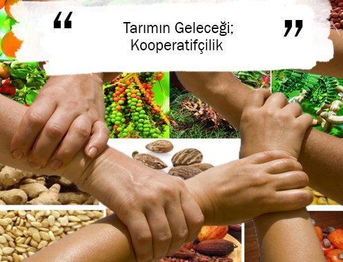 Tarımın Geleceği; Kooperatifçilik