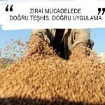 ZİRAİ MÜCADELEDE DOĞRU TEŞHİS, DOĞRU UYGULAMA