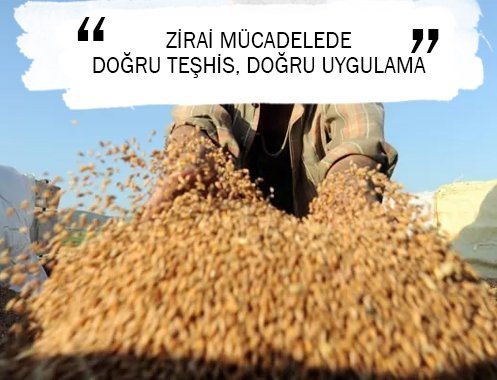 ZİRAİ MÜCADELEDE DOĞRU TEŞHİS, DOĞRU UYGULAMA
