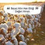 Beyaz Altın Hak Ettiği Değeri Bulmalı