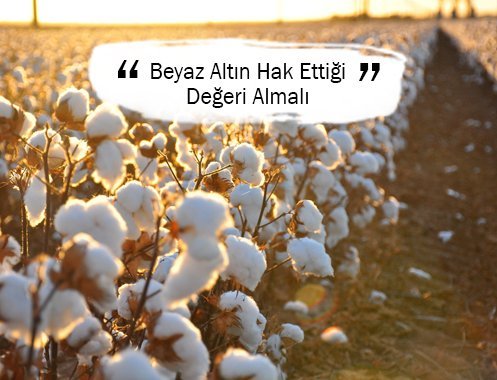 Beyaz Altın Hak Ettiği Değeri Bulmalı