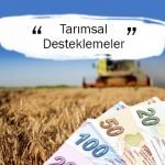 Tarımsal Desteklemeler Amacına Ulaşıyor mu?