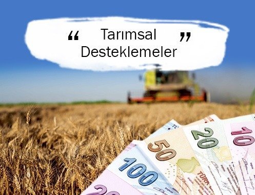 Tarımsal Desteklemeler Amacına Ulaşıyor mu?
