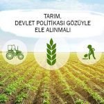 Tarım, Devlet Politikası Gözüyle Ele Alınmalı