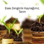 ZENGİNLİK KAYNAĞIMIZ, TARIM