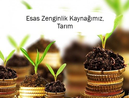 ZENGİNLİK KAYNAĞIMIZ, TARIM