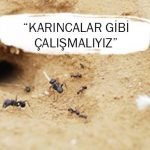 Karıncalar Gibi Çalışmalıyız