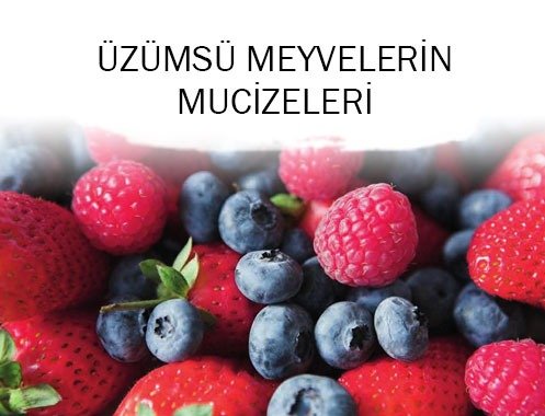 ÜZÜMSÜ MEYVELERİN MUCİZELERİ