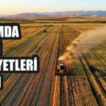 SEÇİMDEN SONRA TARIM