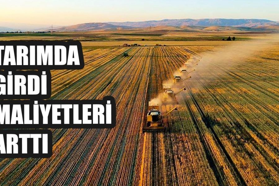 SEÇİMDEN SONRA TARIM