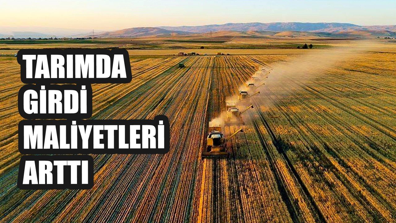 SEÇİMDEN SONRA TARIM