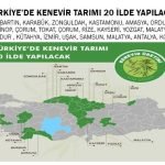  KENEVİR ÜRETİMİNE HAZIR MIYIZ?
