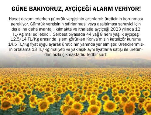 GÜNE BAKIYORUZ, AYÇİÇEĞİ ALARM VERİYOR!