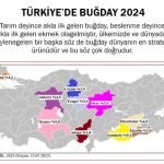 TÜRKİYE’DE BUĞDAY 2024