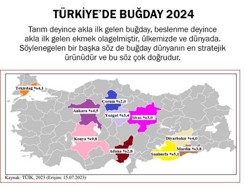 TÜRKİYE’DE BUĞDAY 2024