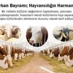 Kurban Bayramı; Hayvancılığın Harmanıdır