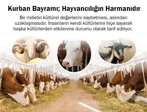 Kurban Bayramı; Hayvancılığın Harmanıdır