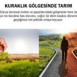 KURAKLIK GÖLGESİNDE TARIM