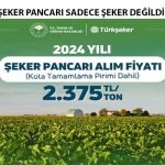ŞEKER PANCARI SADECE ŞEKER DEĞİLDİR.