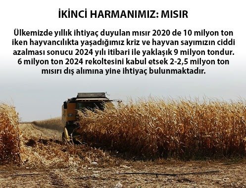 İKİNCİ HARMANIMIZ: MISIR